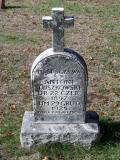 image of grave number 252742